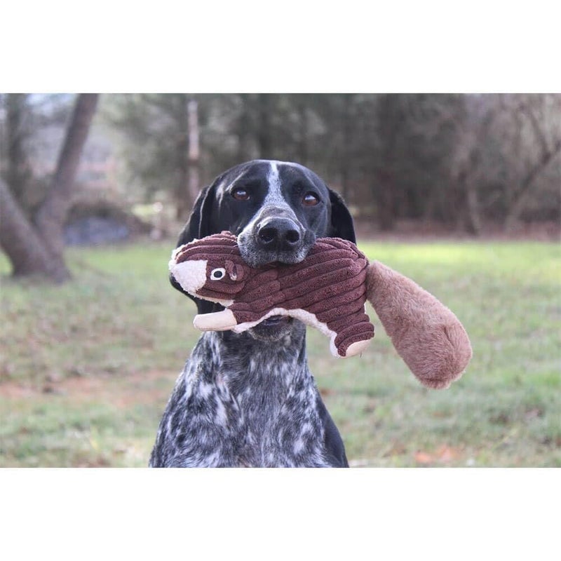 Tall Tails Classic Plush Squeaker Toy for Dogs, Squirrel - Image 3